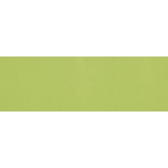 Faianta Liso Verde 10 x 30 cm, lucioasa,  de tip Metro, Ribesalbes