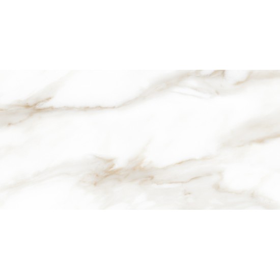 Gresie Gold Rectificata Mata 60 x 120 cm