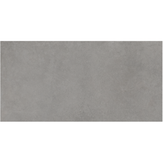 GRESIE RAWTECH SILVER 60X120 MAT, STARGRES