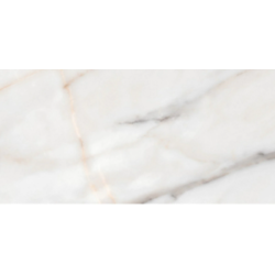 Gresie Essenza, Marmorata, Mata Rectificata 60 x 120 cm, Undefasa