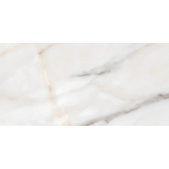 Gresie Essenza, Marmorata, Mata Rectificata 60 x 120 cm, Undefasa