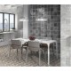 Faianta Terra Smoke Lucioasa 30x60cm, Dual Gres