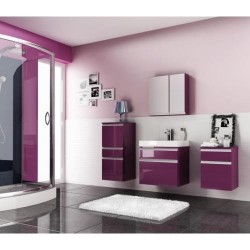 Dulap cu oglinda PORTOFINO 60 cm VIOLET AQUAFORM