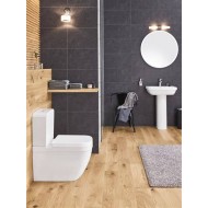 Set Vas Wc EURO CERAMIC BTW TRIPLE VORTEX PURE GUARD GROHE