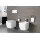 Capac WC Universal simplu