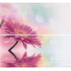 Decor Always-2 27 x 60 cm