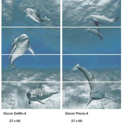 Decor Delfin-Piscis 27 x 60 cm