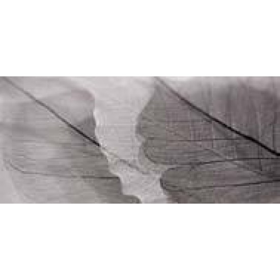 Decor Devon Vison-1 27 x 60 cm