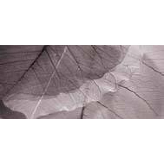 Decor Devon Vison-2 27 x 60 cm