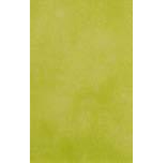 Gresie Futura Verde 30.3 x 48.1 cm